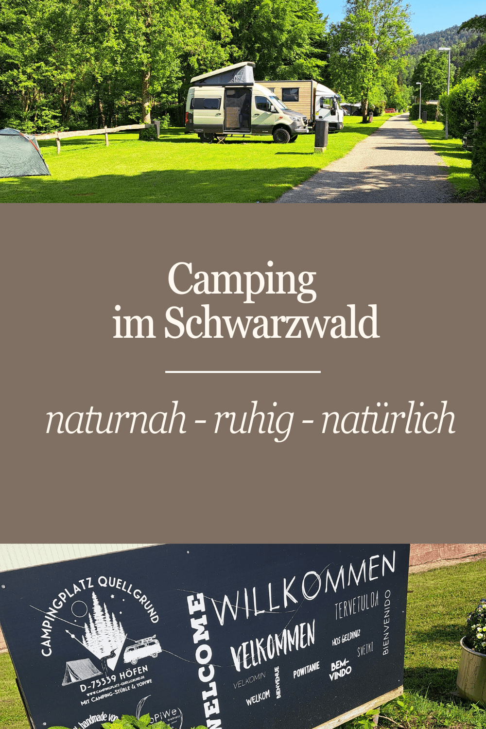 Mehr über den Artikel erfahren Camping im Schwarzwald- ein absoluter Geheimtipp direkt am Fluss